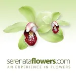Serenata Flowers Customer Service Phone, Email, Contacts